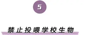 JBO竞博体育-关于离谱！波尔图围绕欧冠刷新队史纪录清晨皇家社会手感冰凉，今夜那不勒斯调整名单以备西甲的信息